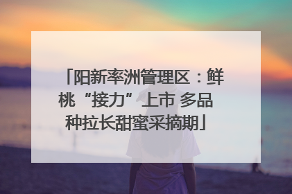 阳新率洲管理区：鲜桃“接力”上市 多品种拉长甜蜜采摘期