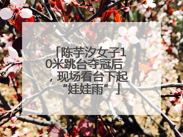 陈芋汐女子10米跳台夺冠后，现场看台下起“娃娃雨”