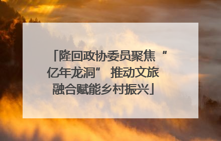 隆回政协委员聚焦“亿年龙洞” 推动文旅融合赋能乡村振兴