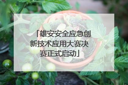 雄安安全应急创新技术应用大赛决赛正式启动