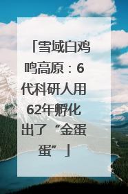 雪域白鸡鸣高原：6代科研人用62年孵化出了“金蛋蛋”