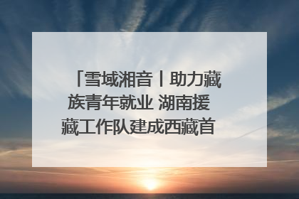 雪域湘音丨助力藏族青年就业 湖南援藏工作队建成西藏首个清洁能源装备园