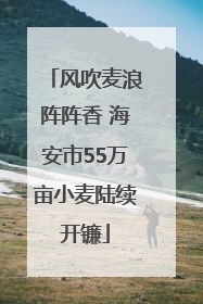 风吹麦浪阵阵香 海安市55万亩小麦陆续开镰