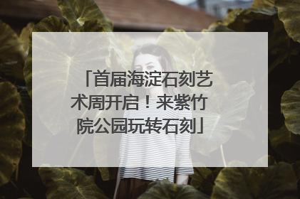 首届海淀石刻艺术周开启！来紫竹院公园玩转石刻