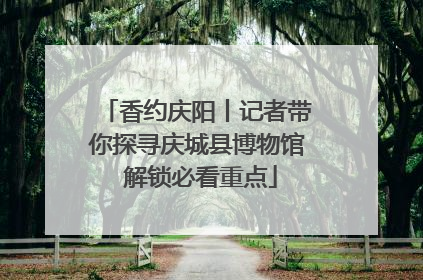 香约庆阳丨记者带你探寻庆城县博物馆 解锁必看重点