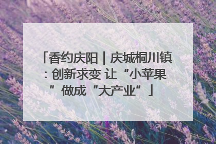 香约庆阳｜庆城桐川镇：创新求变 让“小苹果”做成“大产业”