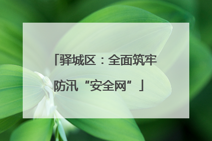 驿城区：全面筑牢防汛“安全网”