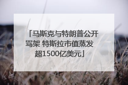 马斯克与特朗普公开骂架 特斯拉市值蒸发超1500亿美元