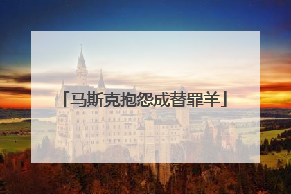 马斯克抱怨成替罪羊