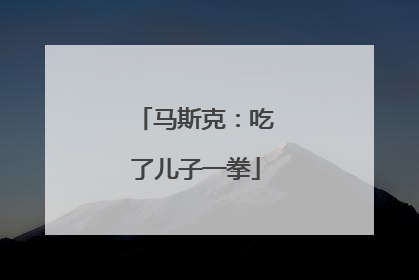 马斯克：吃了儿子一拳