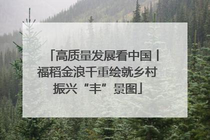 高质量发展看中国丨福稻金浪千重绘就乡村振兴“丰”景图
