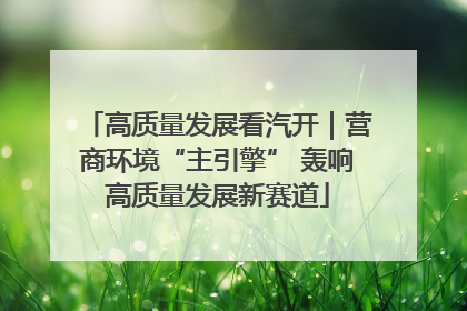 高质量发展看汽开｜营商环境“主引擎” 轰响高质量发展新赛道