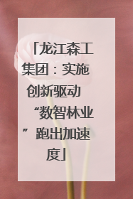 龙江森工集团：实施创新驱动 “数智林业”跑出加速度