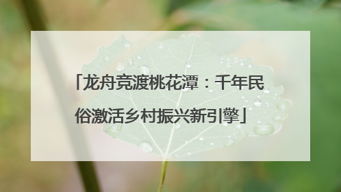 龙舟竞渡桃花潭：千年民俗激活乡村振兴新引擎