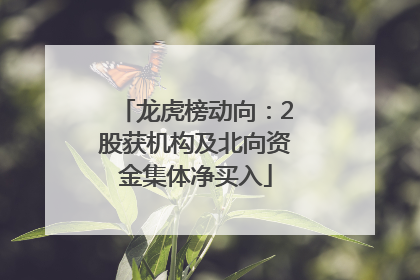 龙虎榜动向：2股获机构及北向资金集体净买入