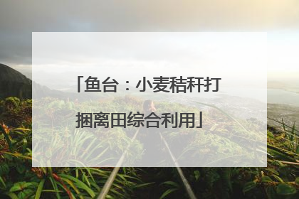 鱼台：小麦秸秆打捆离田综合利用