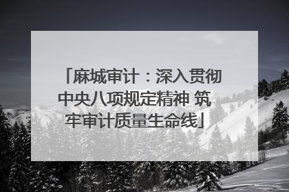 麻城审计：深入贯彻中央八项规定精神 筑牢审计质量生命线