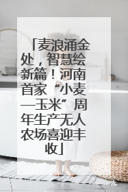 麦浪涌金处，智慧绘新篇！河南首家“小麦—玉米”周年生产无人农场喜迎丰收