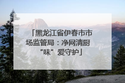 黑龙江省伊春市市场监管局：净网清厨 “味”爱守护