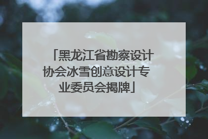 黑龙江省勘察设计协会冰雪创意设计专业委员会揭牌