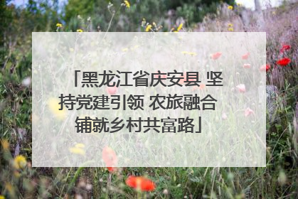 黑龙江省庆安县 坚持党建引领 农旅融合铺就乡村共富路