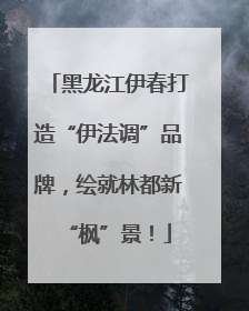 黑龙江伊春打造“伊法调”品牌，绘就林都新“枫”景！
