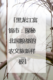 黑龙江富锦市：探秘北国粮都的农文旅新样板
