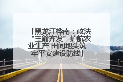 黑龙江桦南：政法“三箭齐发”护航农业生产 田间地头筑牢平安建设防线