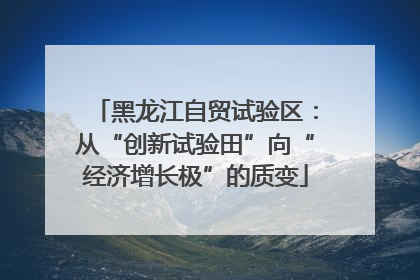 黑龙江自贸试验区：从“创新试验田”向“经济增长极”的质变