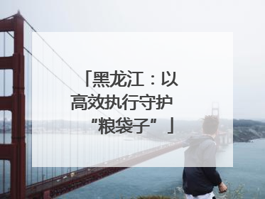 黑龙江：以高效执行守护“粮袋子”