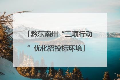 黔东南州“三项行动”优化招投标环境