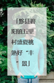 黟县碧阳镇五里村盛夏桃熟好“丰”景