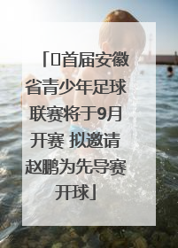 ﻿首届安徽省青少年足球联赛将于9月开赛 拟邀请赵鹏为先导赛开球