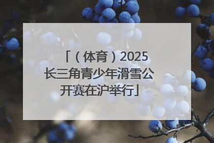 （体育）2025长三角青少年滑雪公开赛在沪举行