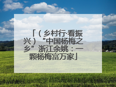 （乡村行·看振兴）“中国杨梅之乡”浙江余姚：一颗杨梅富万家