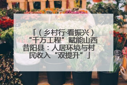 （乡村行·看振兴）“千万工程”赋能山西昔阳县：人居环境与村民收入“双提升”