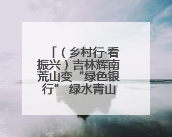 （乡村行·看振兴）吉林辉南荒山变“绿色银行” 绿水青山有“钱景”