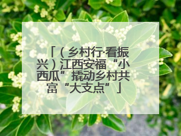 （乡村行·看振兴）江西安福“小西瓜”撬动乡村共富“大支点”