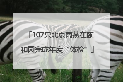107只北京雨燕在颐和园完成年度“体检”