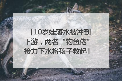 10岁娃落水被冲到下游，两名“钓鱼佬”接力下水将孩子救起