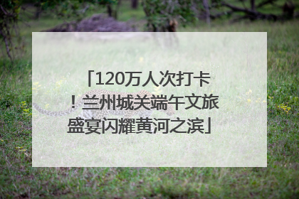 120万人次打卡！兰州城关端午文旅盛宴闪耀黄河之滨