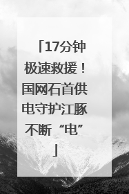17分钟极速救援！国网石首供电守护江豚不断“电”