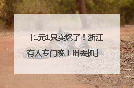 1元1只卖爆了！浙江有人专门晚上出去抓