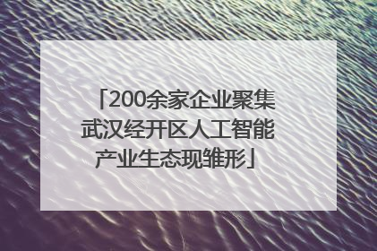200余家企业聚集 武汉经开区人工智能产业生态现雏形