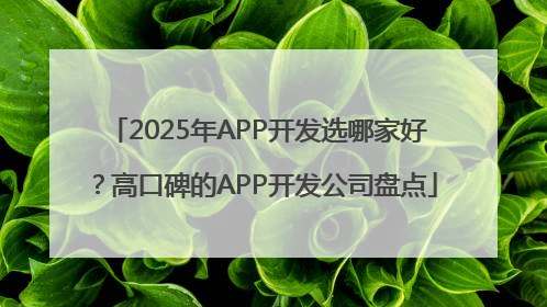 2025年APP开发选哪家好？高口碑的APP开发公司盘点