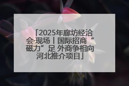 2025年廊坊经洽会·现场丨国际招商“磁力”足 外商争相向河北推介项目
