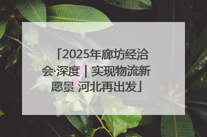 2025年廊坊经洽会·深度｜实现物流新愿景 河北再出发
