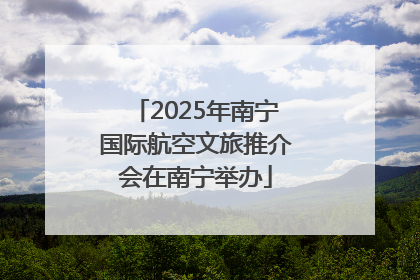 2025年南宁国际航空文旅推介会在南宁举办