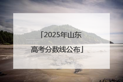 2025年山东高考分数线公布