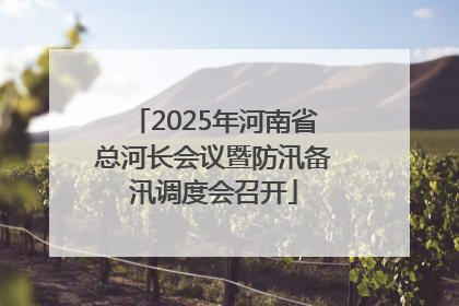 2025年河南省总河长会议暨防汛备汛调度会召开